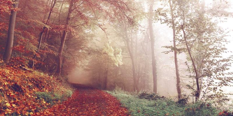 从赛博朋克到现实盾牌:机密计算如何用硬件级安全重塑隐私应用开发